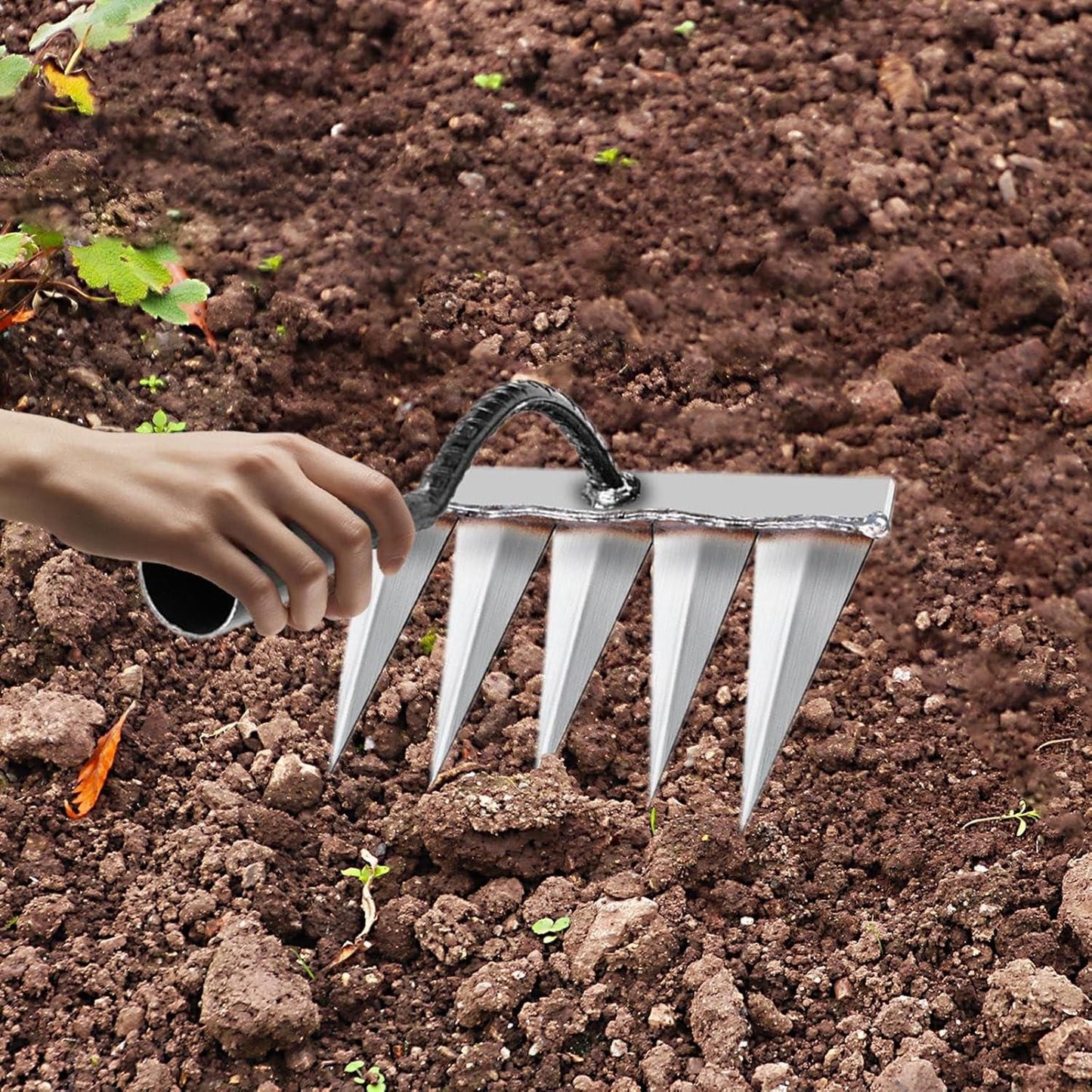 5 Tooth Carbon Steel Garden Weeder