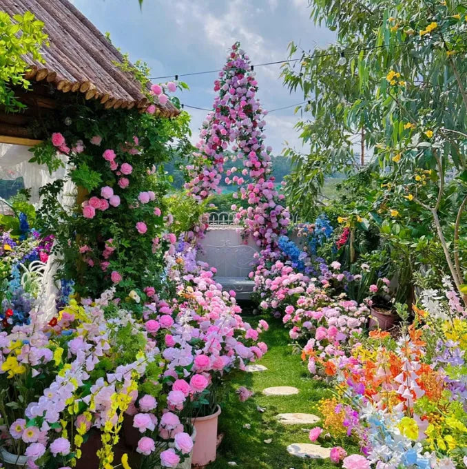 Elegant Climbing Rose Flower Seeds