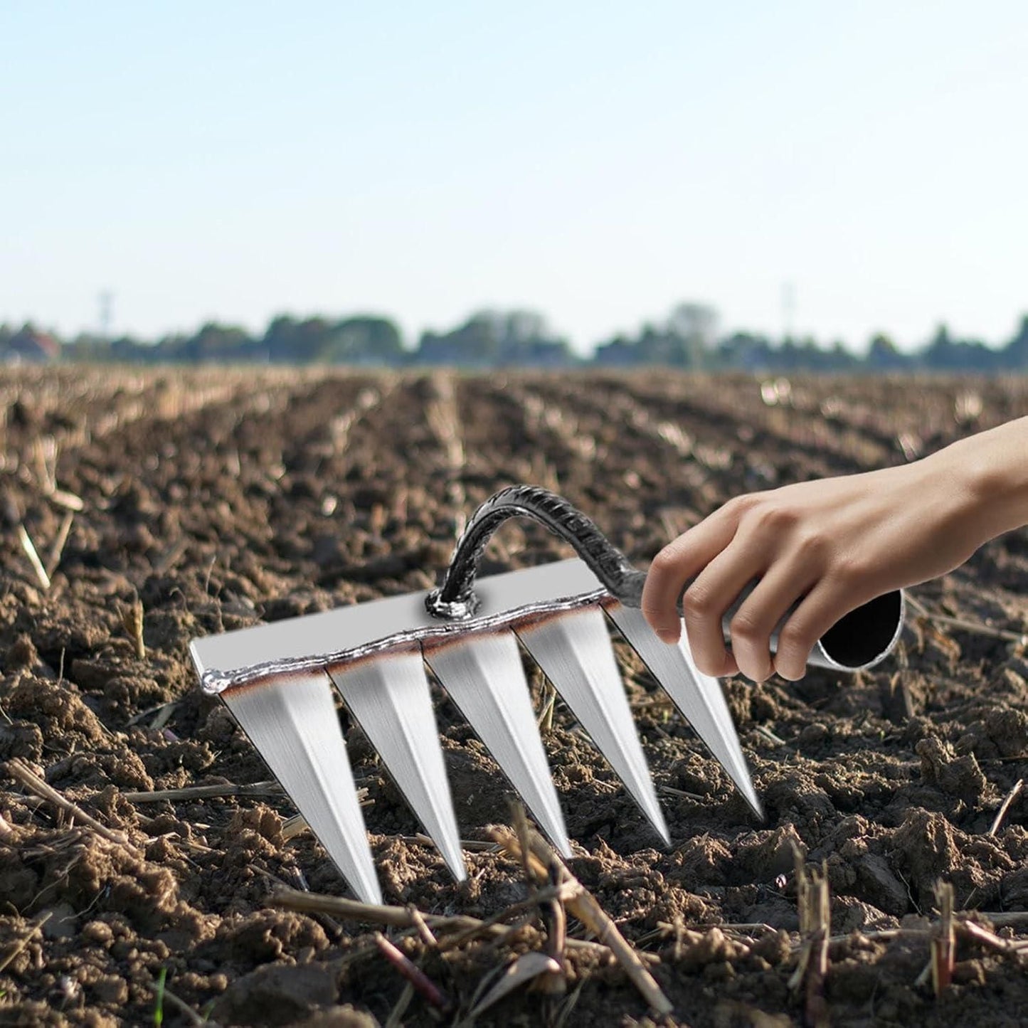 5 Tooth Carbon Steel Garden Weeder