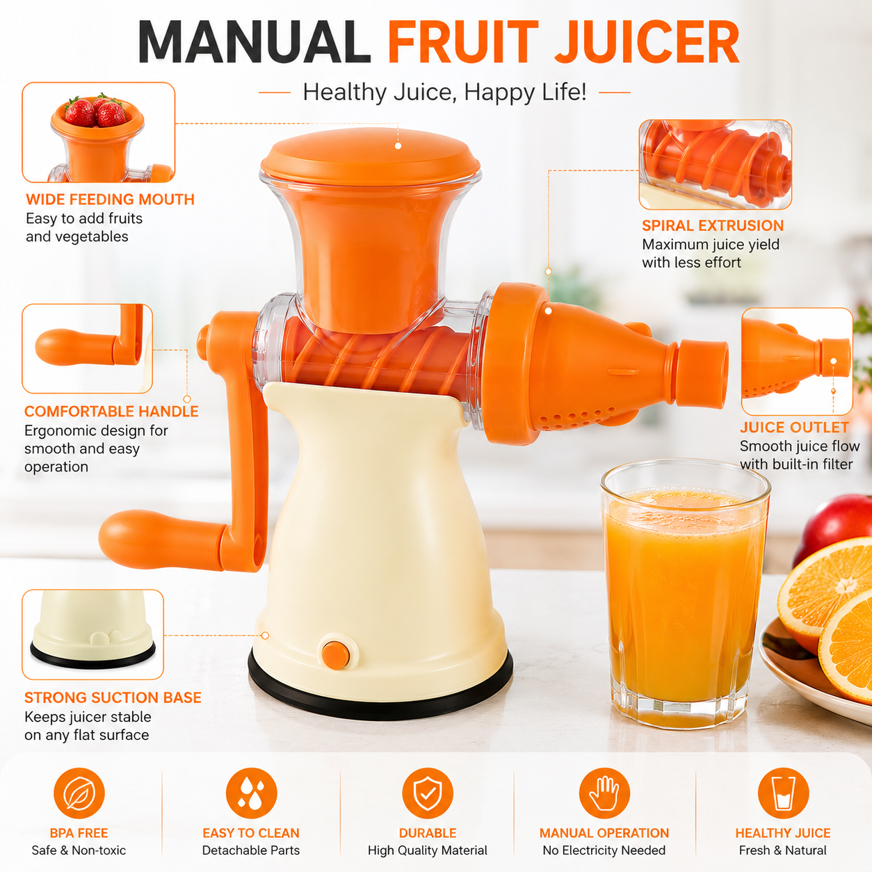Fruit Juicer
