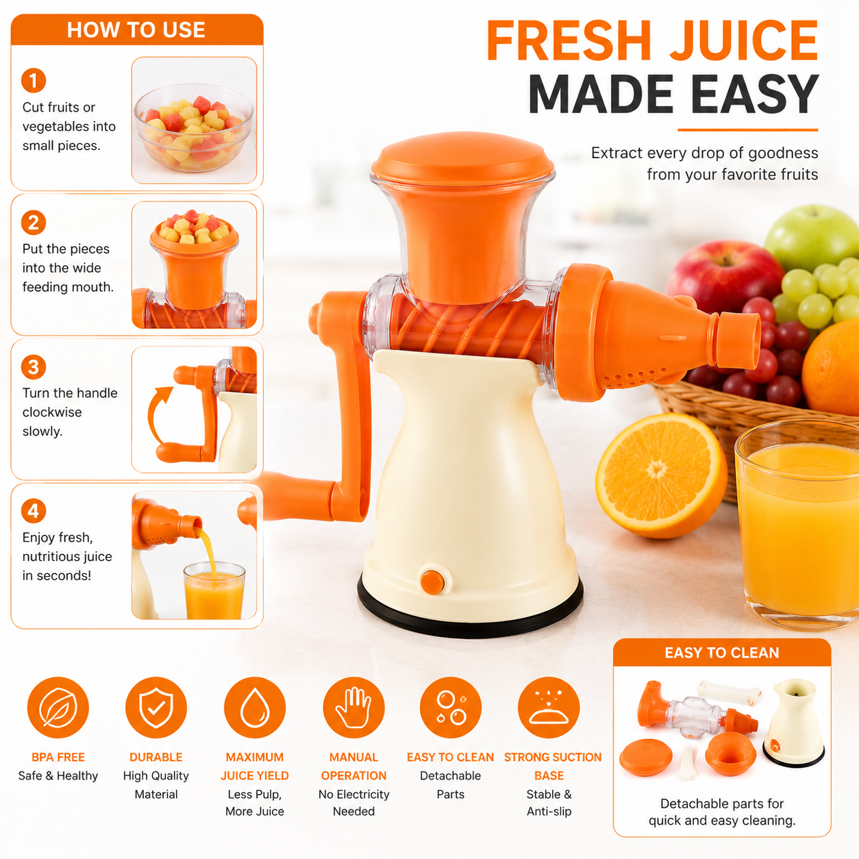 Fruit Juicer